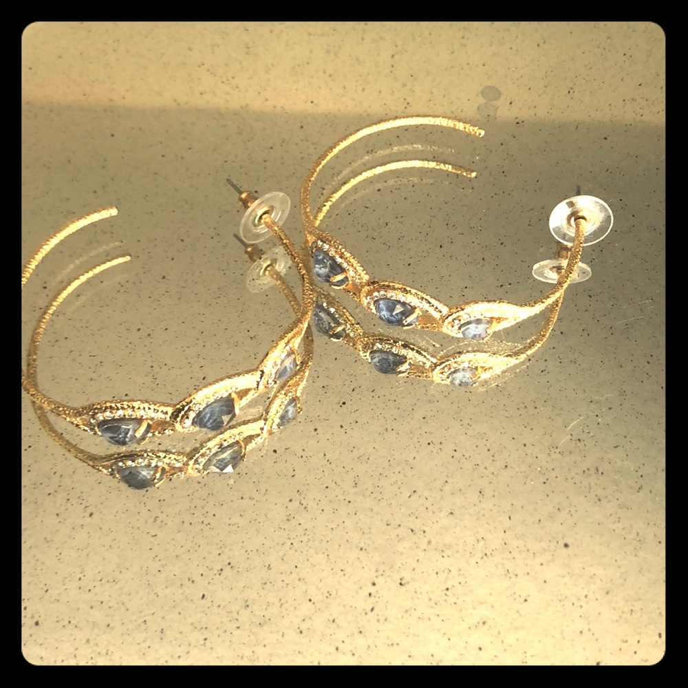 Alexis Bittar Sparkly Hoop Earrings